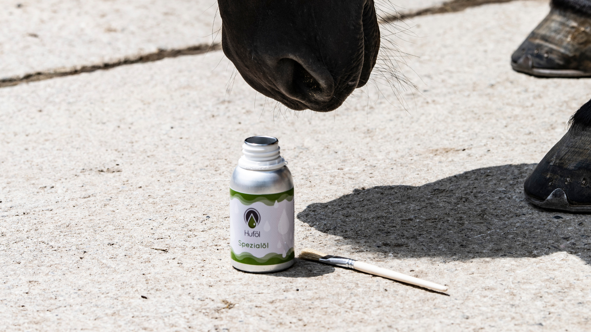 Long-Term Hoof Care – More Than Just Cosmetics