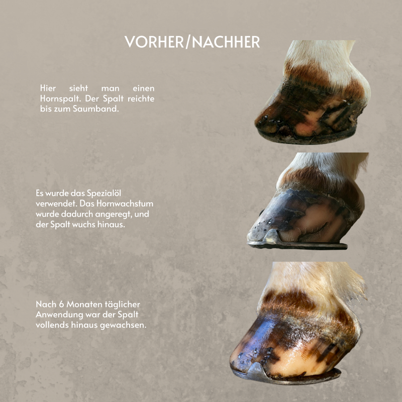 Huföl Produktfolder – Hufpflege für Pferde