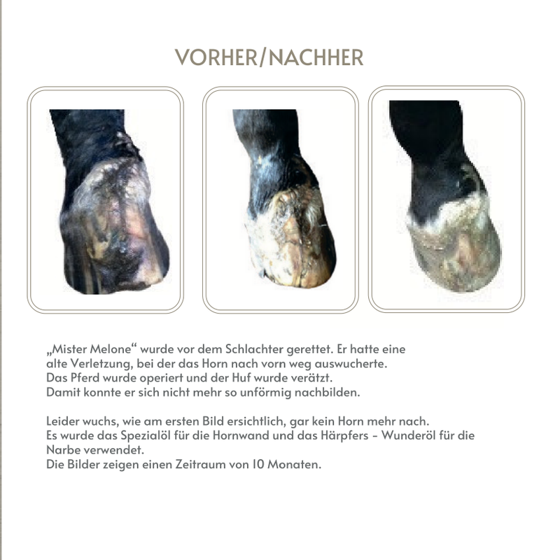Huföl Produktfolder – Hufpflege für Pferde