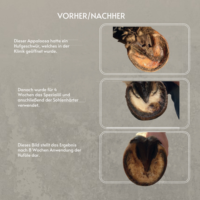 Huföl Produktfolder – Hufpflege für Pferde