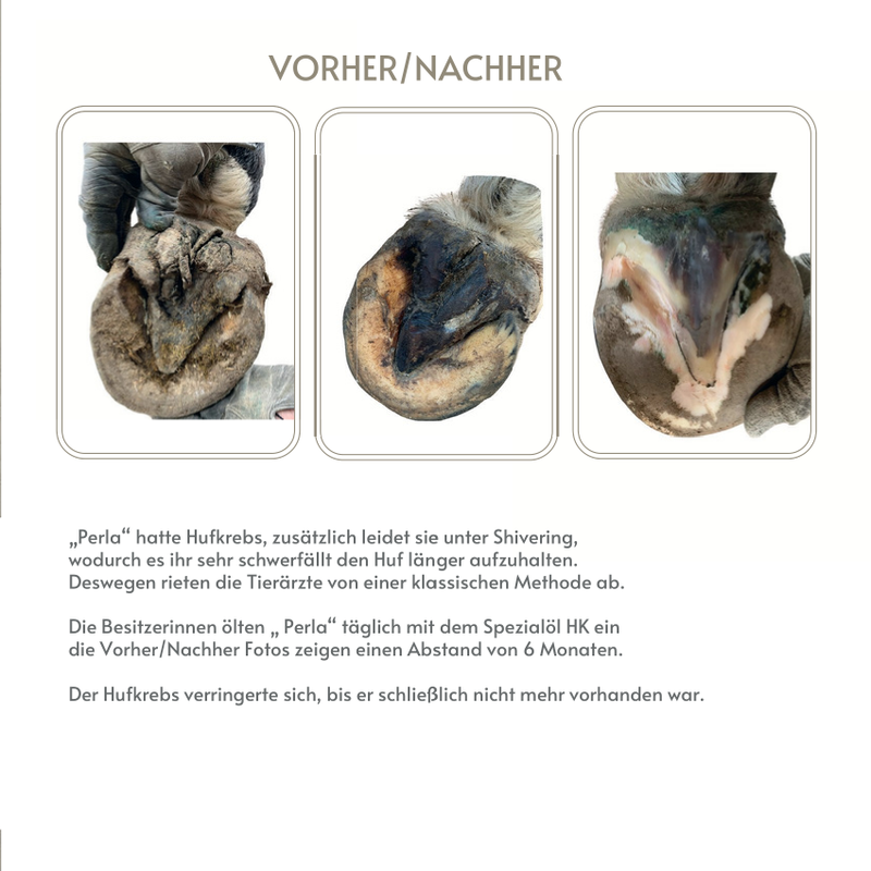 Huföl Produktfolder – Hufpflege für Pferde